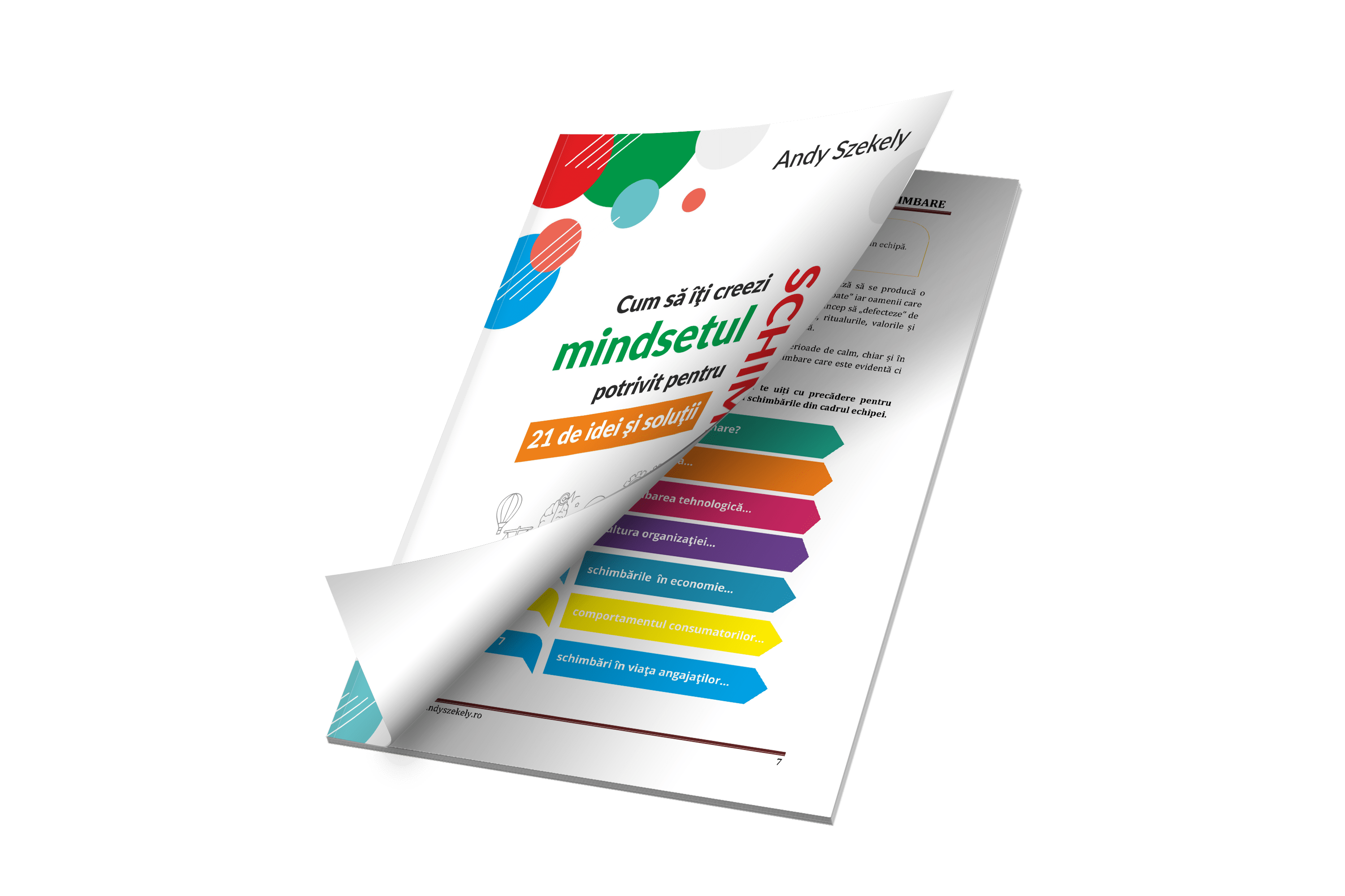 ebook - mindset pentru schimbare