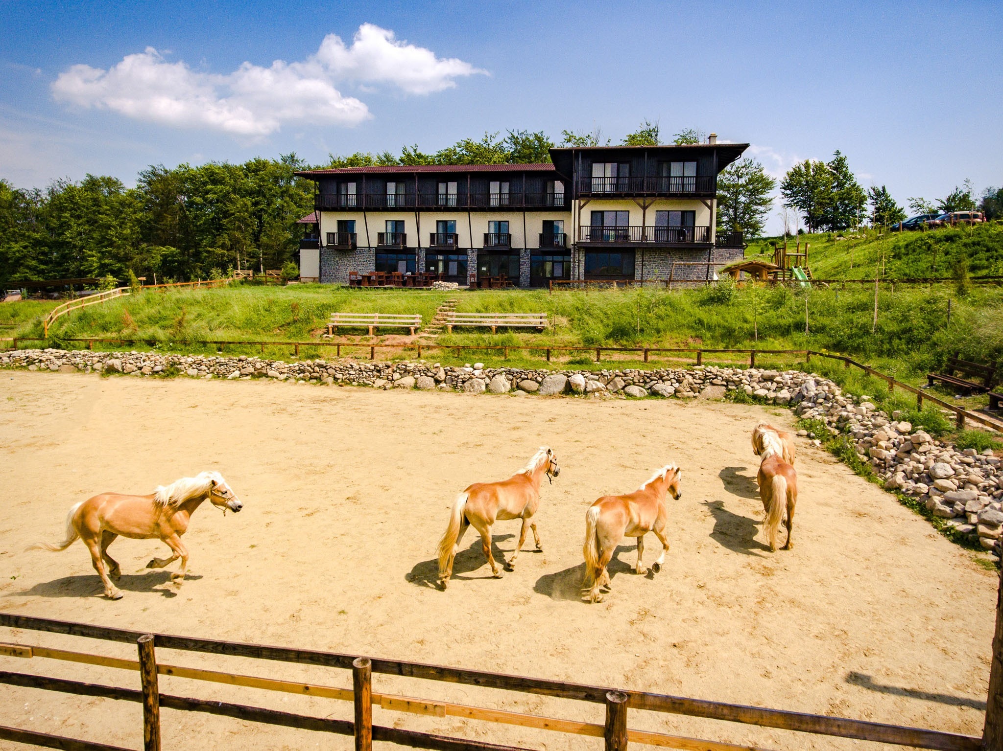 ionut-popescu-potcoava-2