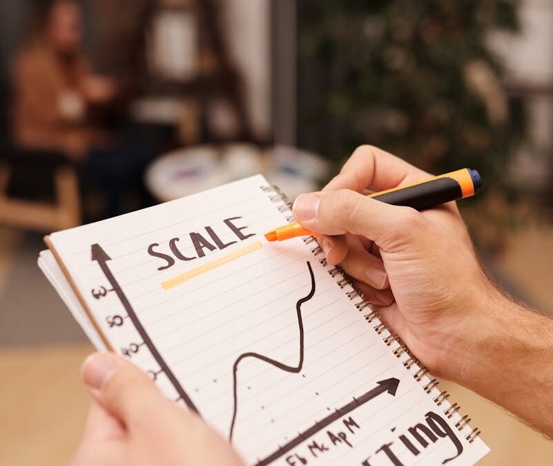 Scalare și performanță: ghid practic pentru antreprenori care vor rezultate reale 4.9 (16)
